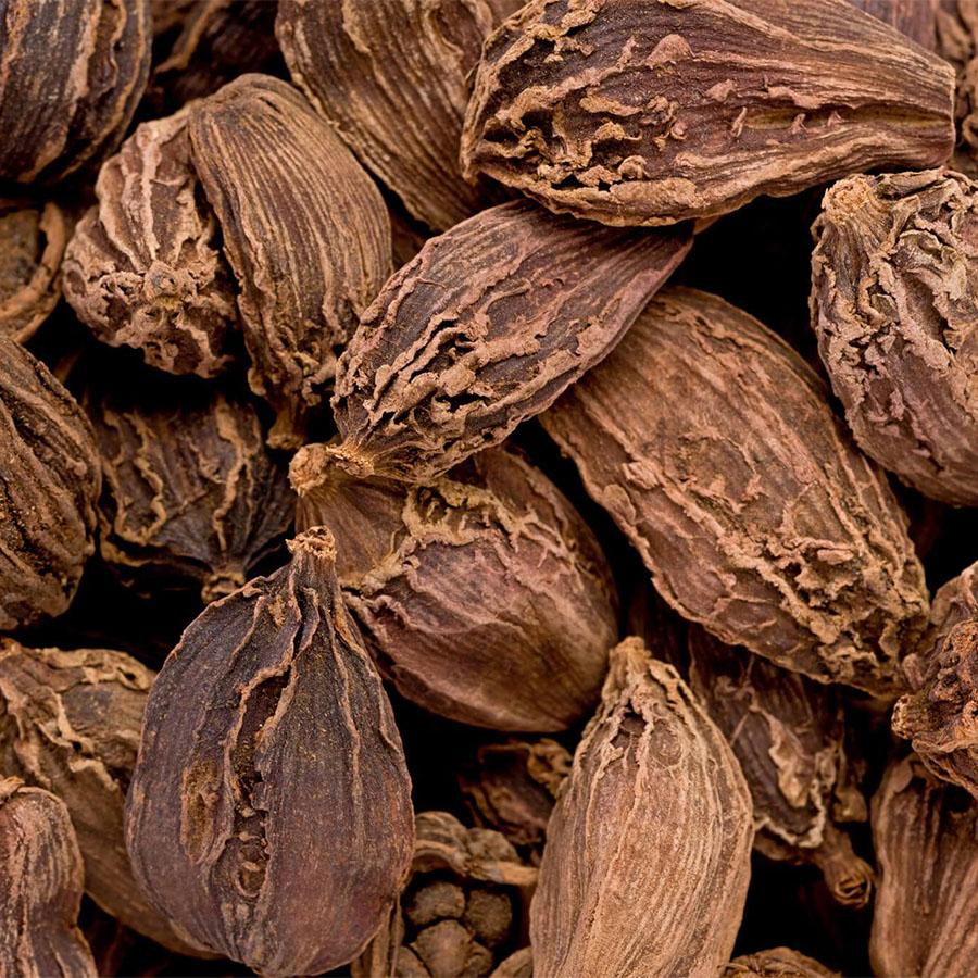 Black_Cardamon_Pods - NY Spice Shop
