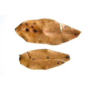 DriedCinnamonLeaf - NY Spice Shop