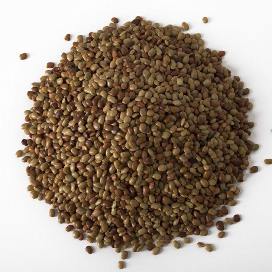 Horse_Gram_Lentils - NY Spice Shop