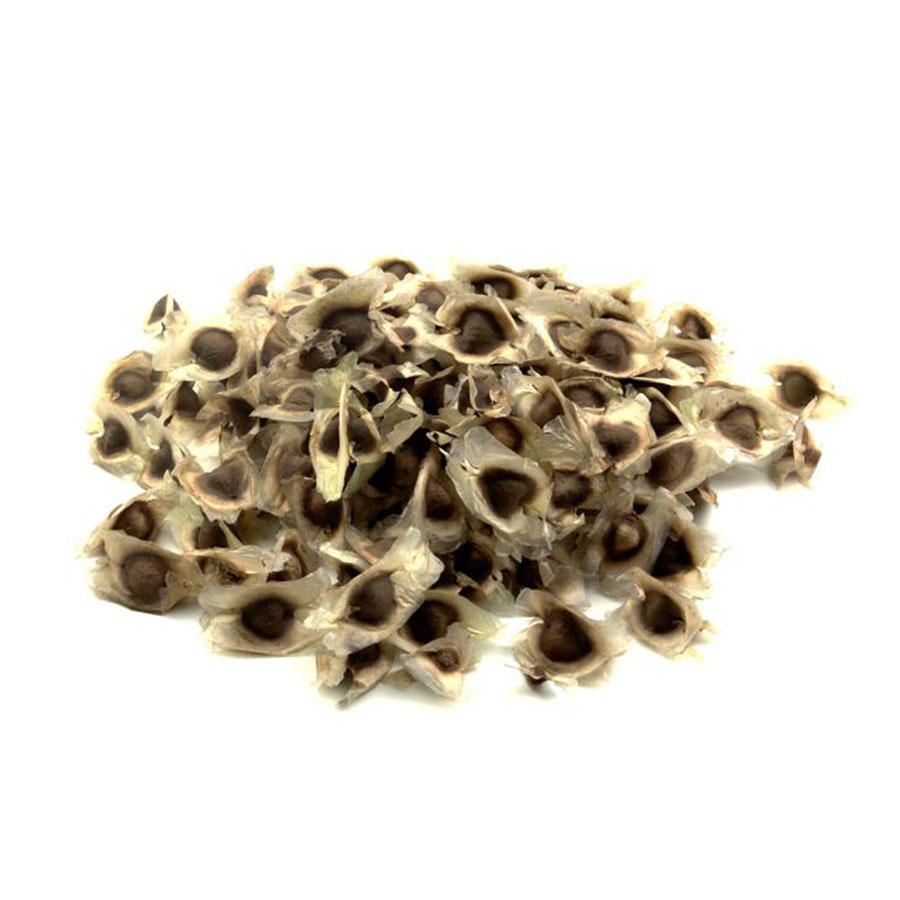 Moringa Seeds - NY Spice Shop