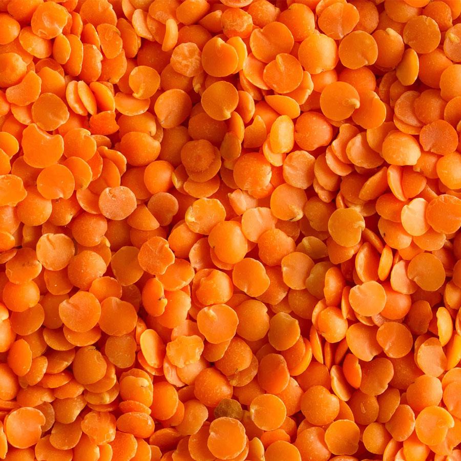 Split_Red_Lentils-Masoor_Dal - NY Spice Shop