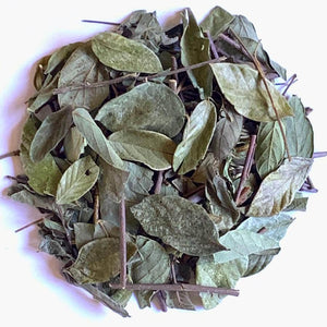 Strong Back Herb -Jamaican Herb - NY Spice Shop