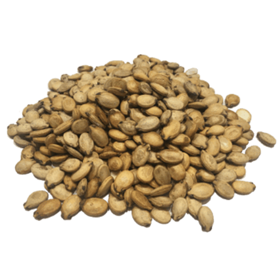 Watermelon_Seeds - NY Spice Shop