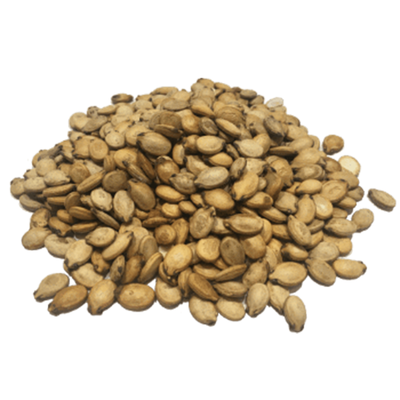Watermelon_Seeds - NY Spice Shop