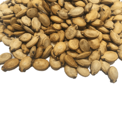 Watermelon_Seeds- NY_Spice_Shop