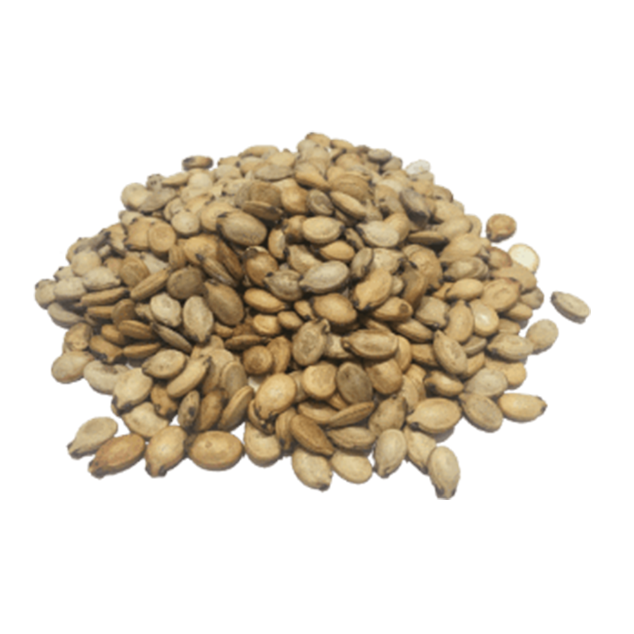 Watermelon_Seeds- NY_Spice_Shop