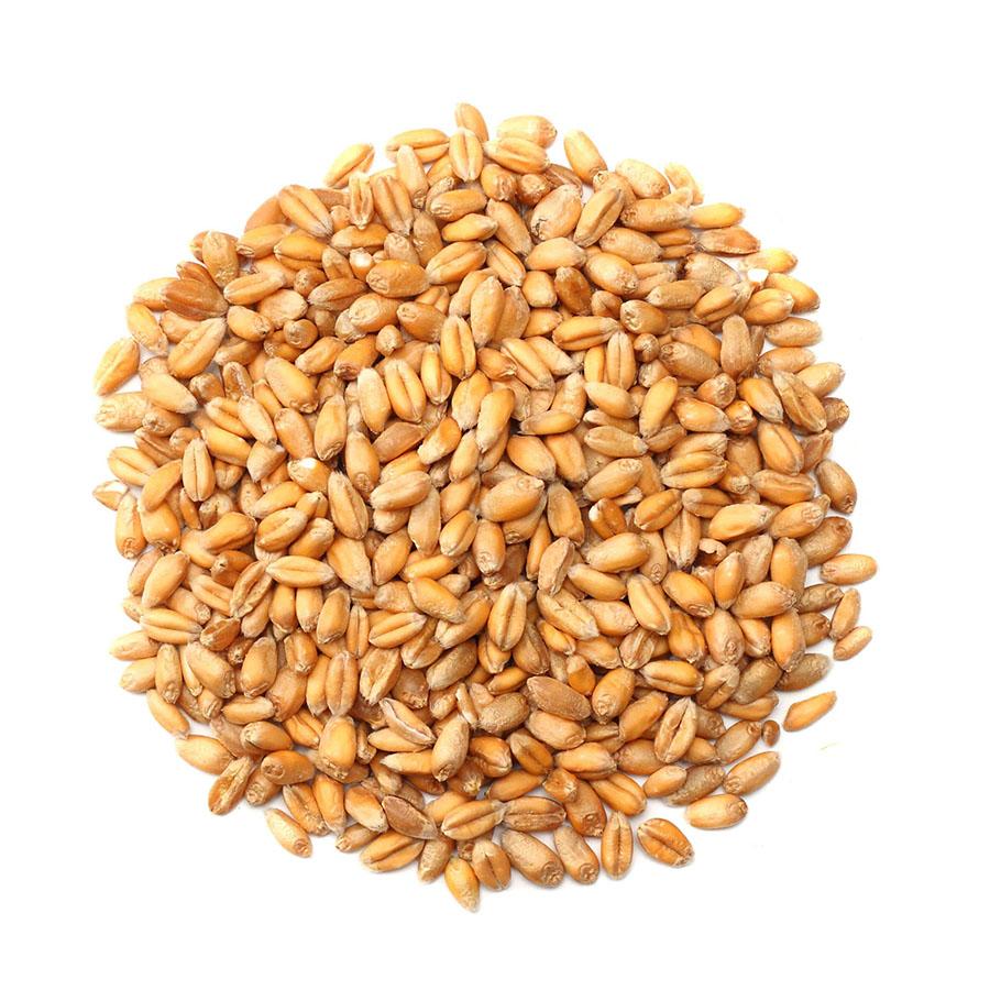 Whole_Wheat - NY Spice Shop