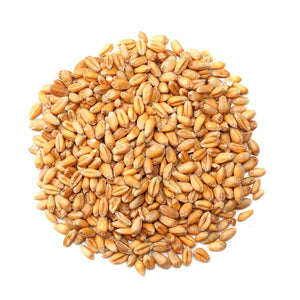 Whole_Wheat - NY Spice Shop